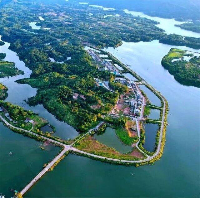 曾佳颖, backg, VGObL 曾佳颖, backg, VGObL